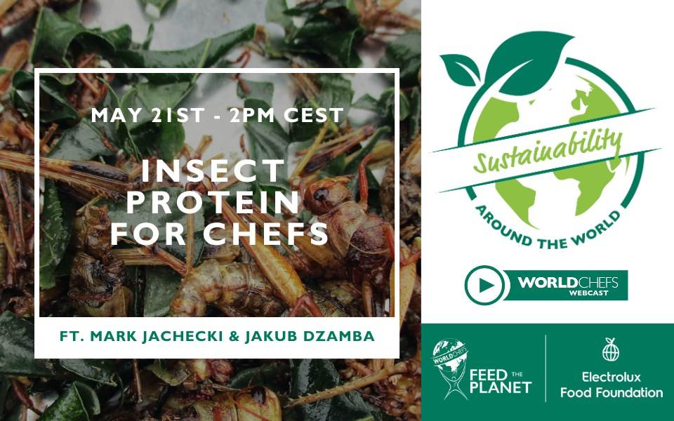 Sustainability Around the World #48