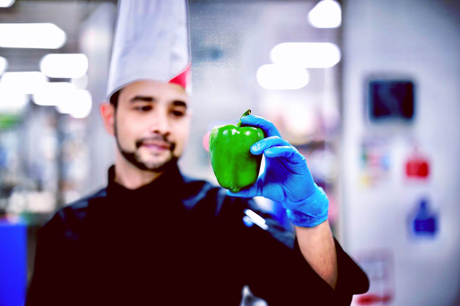 sustainable gastronomy harish