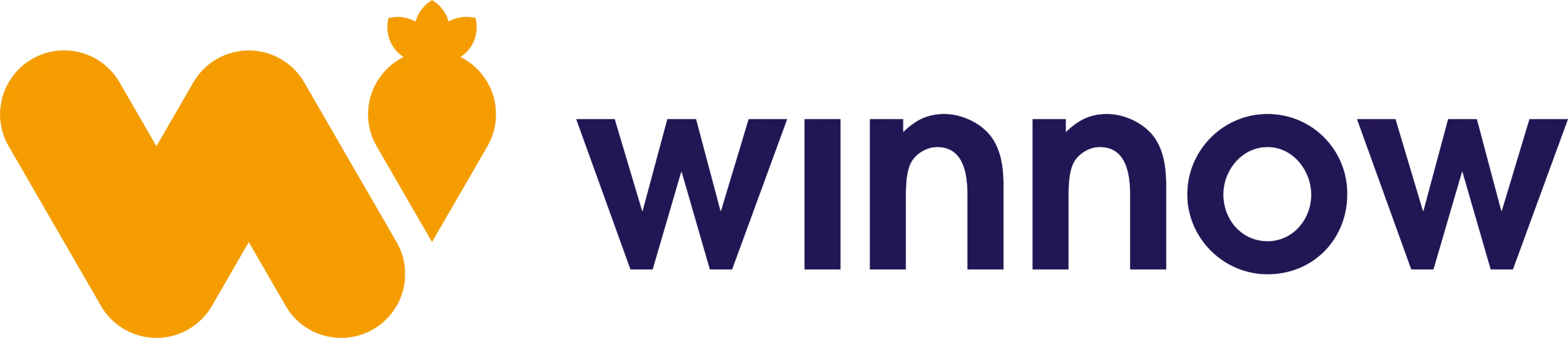 Winnow Solutions Logo