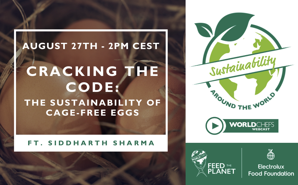 SAW 42: Cracking the Code: The Sustainability of Cage-Free Eggs