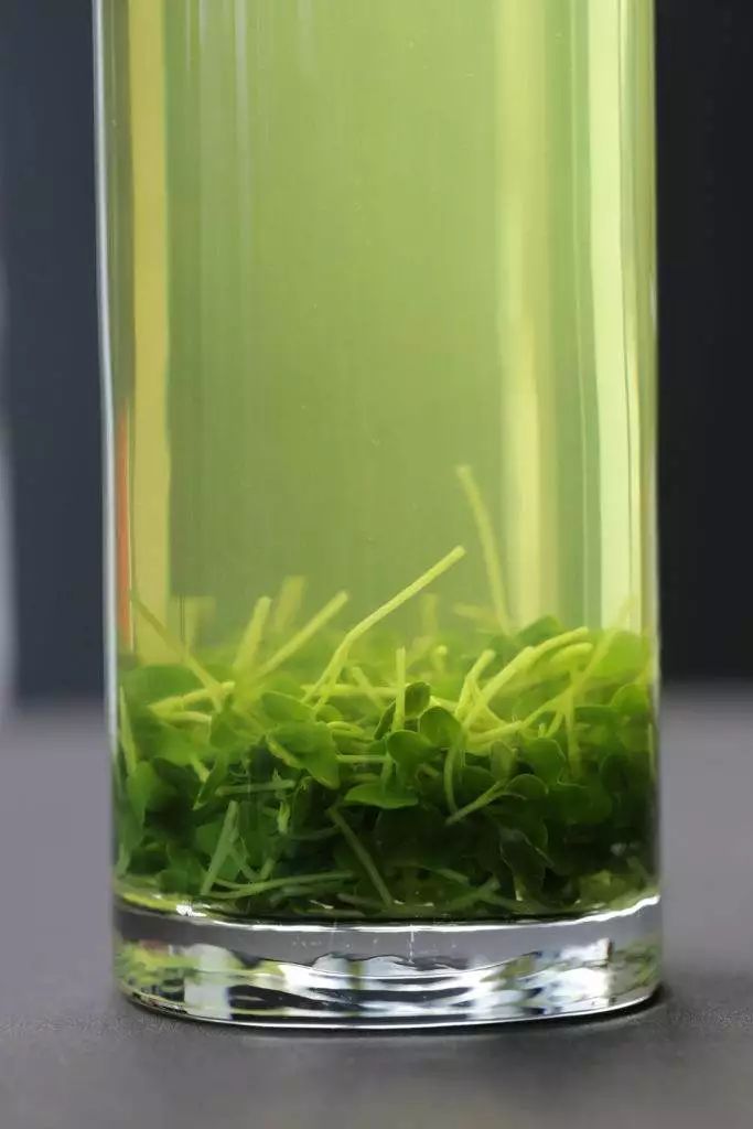 Daikon vegetable stock
