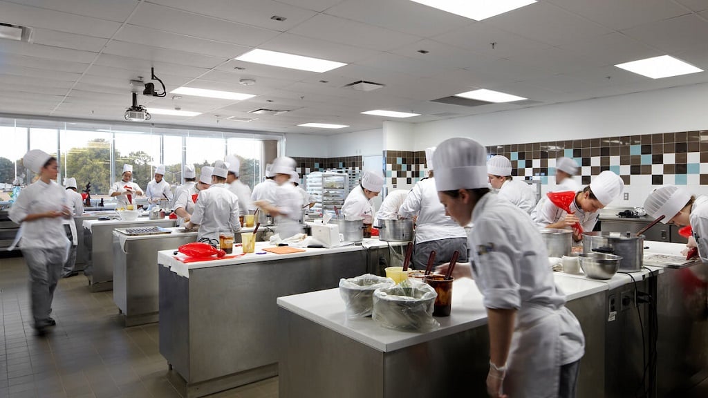 Culinary Education
Food Innovation and Technology
Johnson & Wales University
Culinary industry